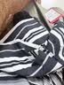 李宁纯棉圆领宽松短袖文化衫男女同款条纹拼色休闲运动上衣ATSV515 实拍图