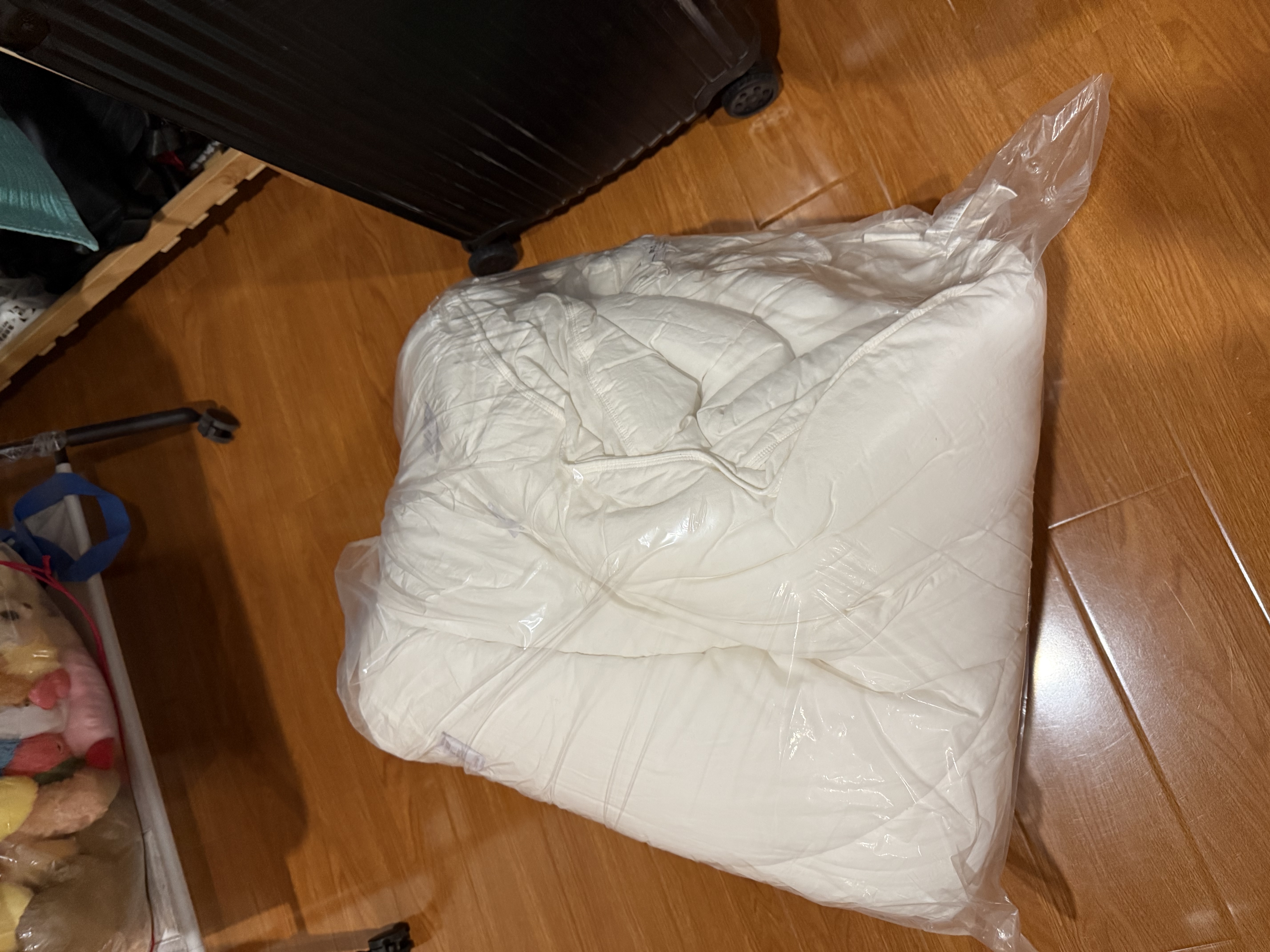 干洗床品四件套/毛毯/蚕丝被清洗安全杀菌消毒顺丰上门取送 床单被单枕套毛毯蚕丝被被子洗护 被子清洗1件【聚酯纤维/大豆/空调被/化纤材质】 实拍图