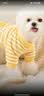 嬉皮狗小狗狗夏季薄款四脚衣服比熊博美宠物猫咪小型幼犬泰迪家居服睡衣 黄条笑脸 M（建议体重5-8斤） 实拍图