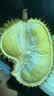 京鲜生 进口金枕头鲜榴莲 净重4-5斤 1个装 生鲜新鲜水果七夕情人节礼物 实拍图