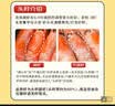 仁豪水产特大号头籽北极甜虾冰虾净重3斤 70/90规格 头籽率80% 北极籽虾 实拍图