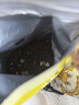疯狂小狗小耳朵冻干夹心狗粮泰迪比熊中小型幼成犬通用护肠胃1.5kg犬粮3斤 实拍图