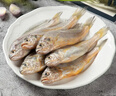 鲜到鲜得 冷冻海捕小黄鱼450g 黄花鱼 深海鱼 生鲜鱼类 烧烤食材 中秋海鲜 实拍图