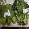 上海青约500g(油菜) 实拍图