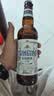 青岛啤酒（TsingTao）精酿白啤全麦原麦汁浓度10°P  500ml*12瓶整箱装 中秋节送礼 实拍图