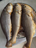 三都港 三去黄花鱼500g/3条装小黄鱼 深海鱼生鲜鱼类 烧烤食材 中秋海鲜 实拍图