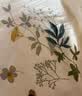 安睡宝（SOMERELLE）100%全棉床上三件套纯棉 床单款床上用品被套150*200cm0.9-1.2米 实拍图