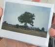 INSTAX富士instax立拍立得 宽幅相纸 白边双包装20张（适用于WIDE系列相机） 实拍图