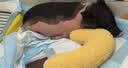 暮秋小主【猪猪侠同款】宠物小香猪活体幼崽家养纯种迷你猪活物可爱萌宠 泰国小香猪幼崽（母） 实拍图