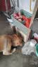 好主人狗粮 全犬种通用成犬粮2.5kg泰迪金毛拉布拉多比熊天然粮5斤/20斤 【超值囤货】全犬种成犬粮20斤 实拍图