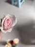 京东鲜花玫瑰花随机颜色30枝(2-3种颜色)40cm鲜切花生活花束山东源头直发 实拍图