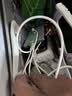 Apple 苹果 iPhone 17/16/15/14/13/12/11/X系列二手手机 规格见质检报告 苹果 iPhone 14 实拍图