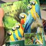 天章 （TANGO）相纸180g高光面喷墨照片打印纸4R/6寸家庭相册DIY手工儿童成长纪念照打印20张/包新绿天章 实拍图
