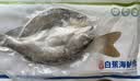 仙泉湖冷冻三去白蕉海鲈鱼700g/袋(2条装)肉厚刺少水产生鲜食材 实拍图