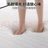 安睡宝（SOMERELLE）天然抗菌乳胶床垫褥子 记忆棉海绵床垫子床褥宿舍家用1.5x2米 实拍图