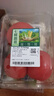 西红柿约550g 实拍图