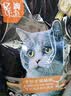 亿迪猫粮全价成猫幼猫国产蓝猫布偶流浪猫全阶段20斤羊奶低敏营养丰富 实拍图
