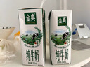 伊利金典纯牛奶整箱 200ml*12盒 两箱 礼盒装 5月 实拍图