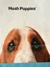 暇步士（Hush Puppies）礼品袋为家人准备一份特别的礼物，购买皮带即刻获赠精美礼品袋 实拍图