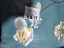 艾薇 A类枕头套纯棉家用全棉单人枕套一对枕芯套 清馨花园 48*74cm 实拍图
