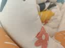 雅鹿·自由自在 A类抗菌纤维被子被芯单人秋冬天季被褥棉被冬天150x200cm5斤繁花 实拍图