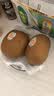 佳沛（zespri）新西兰阳光金奇异果巨大果22粒原箱单果146-175g 猕猴桃水果礼盒 实拍图
