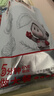 大希地哈尔滨红肠1斤 道台府联名款 东北特产香肠腊味熟食下酒菜 实拍图