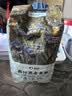 新良大师高纤黑全麦粉2斤装 高筋面粉 烘焙面包饺子馒头纸包装面粉 实拍图