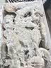GUO LIAN厄瓜多尔进口白虾3.3斤净重特大号49-66只中秋 生鲜海鲜源头直发 实拍图