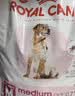 皇家狗粮 中型犬成犬全价粮  金毛边牧柴犬通用粮狗狗主粮1岁以上 M25 【12月以上】M25 中型成犬 15kg 实拍图