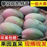 集南鲜  四川凯特芒果 新鲜热带青皮黄皮大芒果 当季香甜水果芒果整箱 含箱10斤 单果500g起  净重9斤 实拍图