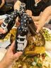 青岛啤酒（TsingTao）夜猫子卡尔拉格斐联名 全麦啤酒 铝瓶装  355ml*12瓶 实拍图