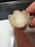 瑾贝13天金凤活珠子香辣味50g*20枚新鲜开袋即食加蘸料钢化蛋熟鸡胚蛋 实拍图