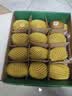 佳沛（zespri）新西兰 阳光金奇异果12粒特大果单果124-146g 猕猴桃水果礼盒 实拍图