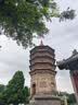 燕京【京东限定】啤酒 锦鲤罐500ml*24听 整箱装  现货热卖 实拍图