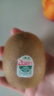 佳沛（zespri）绿奇异果优选果27-33个原箱装单果约103-135g水果 猕猴桃 实拍图