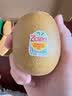 佳沛（zespri）新西兰金奇异果12粒特大果124-146g猕猴桃中秋节礼品送水果礼盒 实拍图