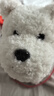 babycare动物毛绒玩偶狗西高地儿童宠物玩具生日周岁礼物电子犬-可充电款 实拍图