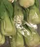 上海青约500g(油菜) 实拍图