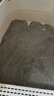 艾禾美（ARM&HAMMER）铁锤猫砂黑盒绿标28磅膨润土钠基矿石矿砂进口猫咪沙用品除臭低尘 实拍图