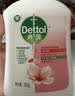 滴露（Dettol）洗手液抑菌消毒滋润500g+500g 补充装 儿童家庭护手替换装 实拍图
