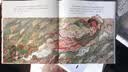 中国美丽故事（精装） 蔡皋绘本 蔡皋的绘本世界 国际安徒生奖插画奖蔡皋奶奶绘本 晒单实拍图