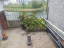 【95成新】京东京造【粉底液】内衣女裸感80支莫代尔无痕隐形无钢圈文胸罩 隐形肤M 实拍图