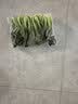 七鲜24小时油菜苗250g(长度≤17cm) 实拍图