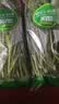 带根香菜100g 实拍图