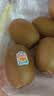 佳沛（zespri）新西兰 阳光金果25-27粒原箱特大果单果124-146g 猕猴桃水果礼盒 实拍图