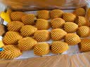 佳沛（zespri）新西兰阳光金奇异果巨大果22粒原箱单果146-175g 猕猴桃水果礼盒 实拍图