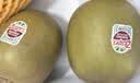 佳沛（zespri）新西兰金奇异果12粒特大果124-146g猕猴桃中秋节礼品送水果礼盒 实拍图