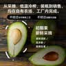 GROVE特级初榨牛油果油250mL 宝宝辅食油营养油热炒油冷榨 新西兰进口 实拍图
