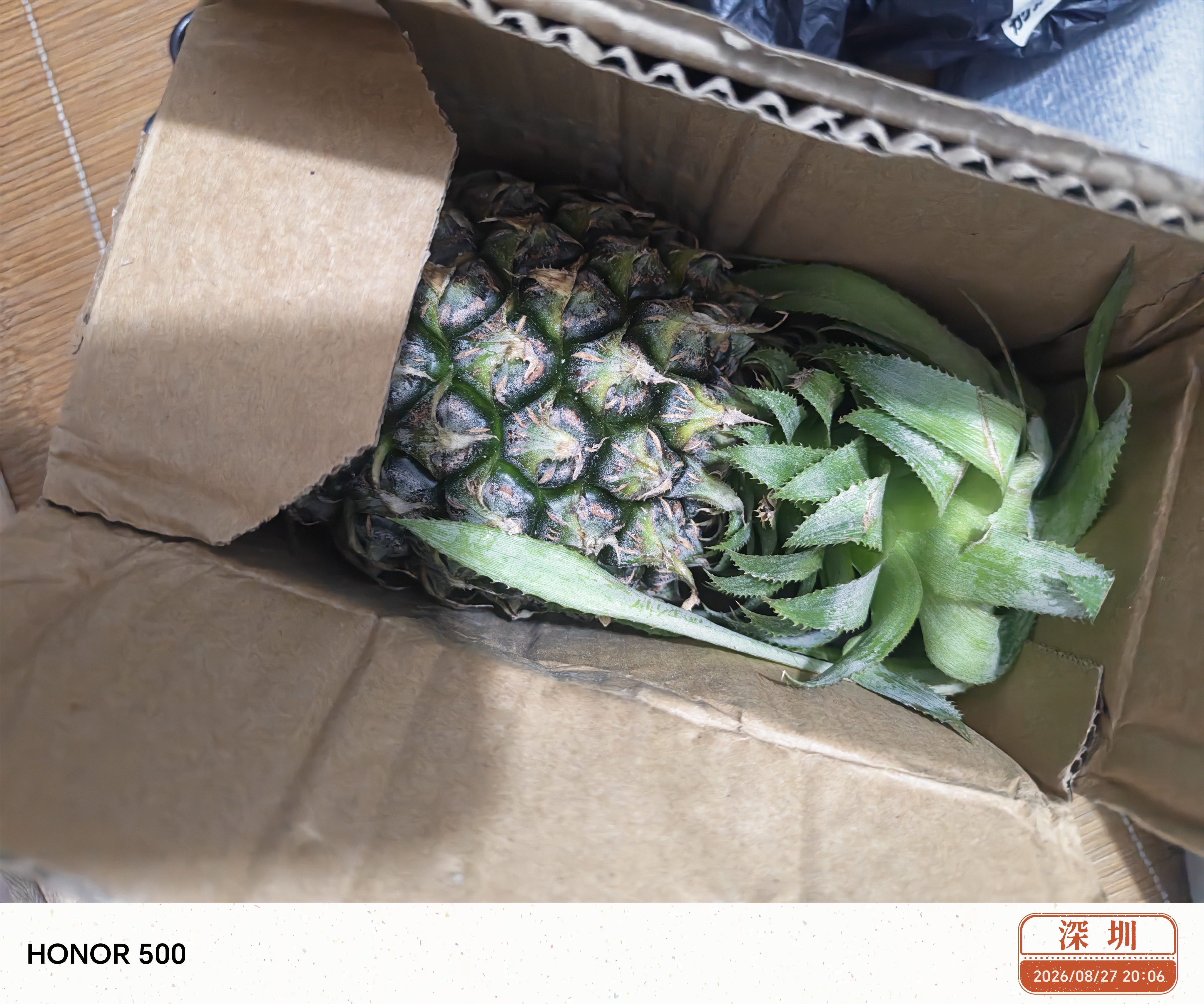 广东湛江徐闻菠萝 香水菠萝 热带水果 【活动期间合并发货】1个 净重1.3-2斤 实拍图